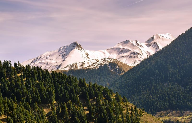 Eco Hikes